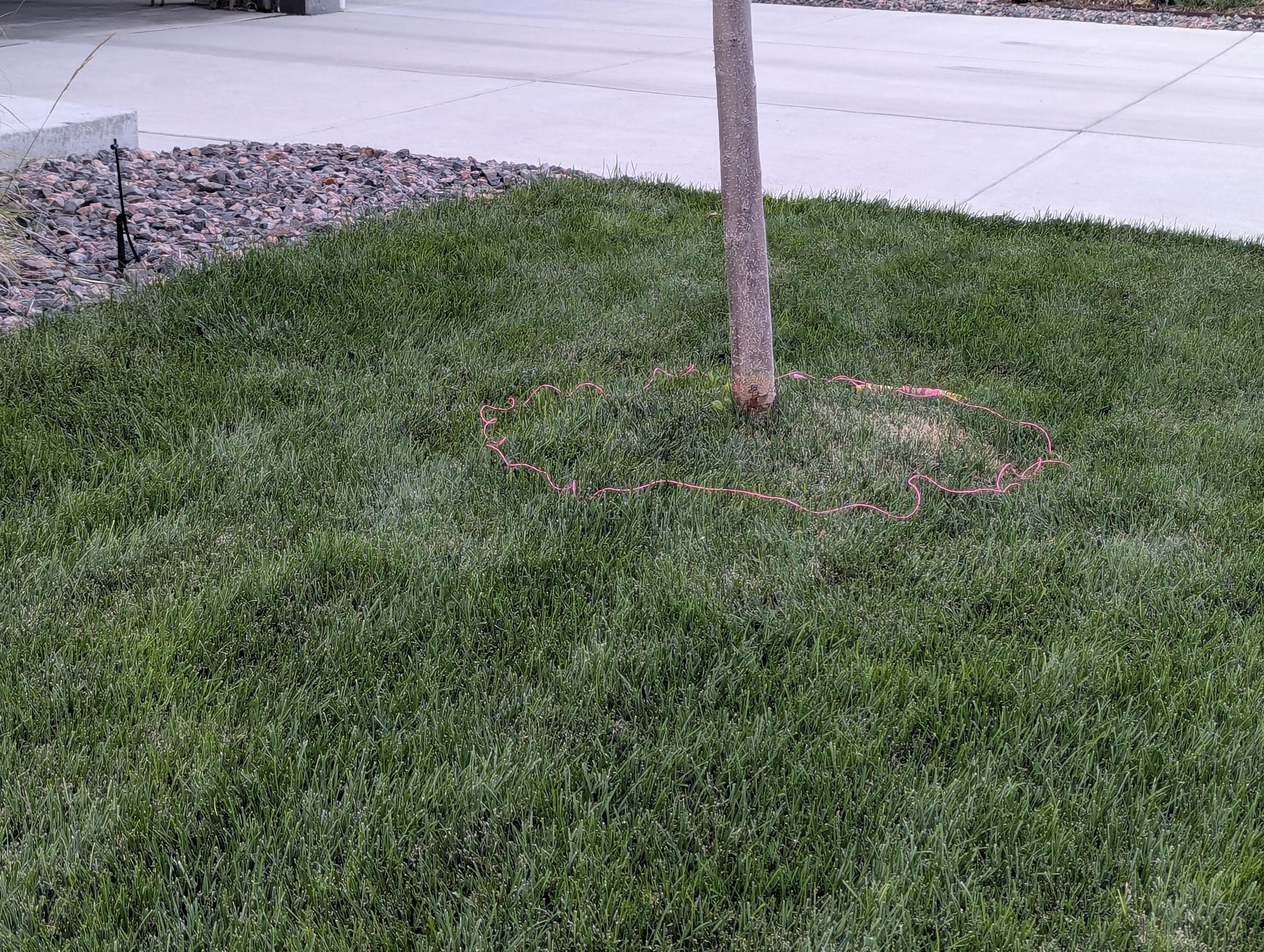 Garden, Morrison, Colorado